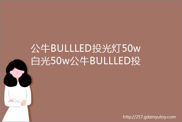 公牛BULLLED投光灯50w白光50w公牛BULLLED投光灯50