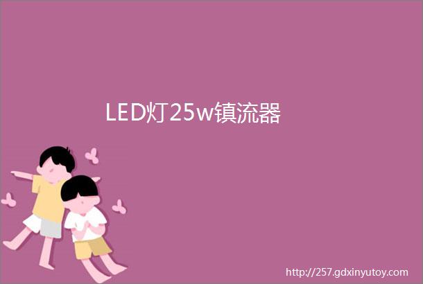 LED灯25w镇流器