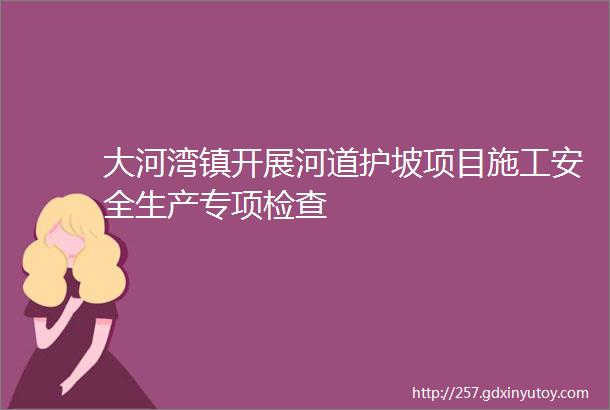 大河湾镇开展河道护坡项目施工安全生产专项检查