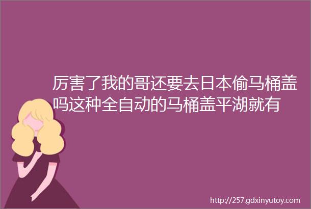 厉害了我的哥还要去日本偷马桶盖吗这种全自动的马桶盖平湖就有