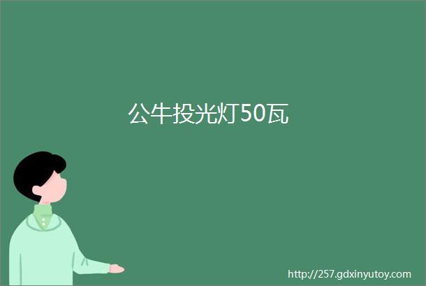 公牛投光灯50瓦