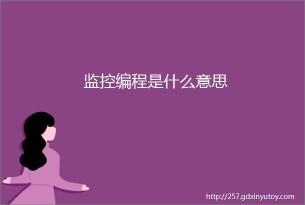 监控编程是什么意思