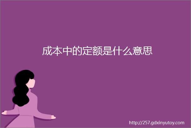 成本中的定额是什么意思