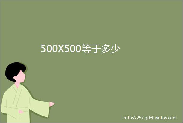 500X500等于多少