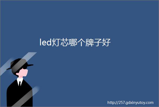 led灯芯哪个牌子好