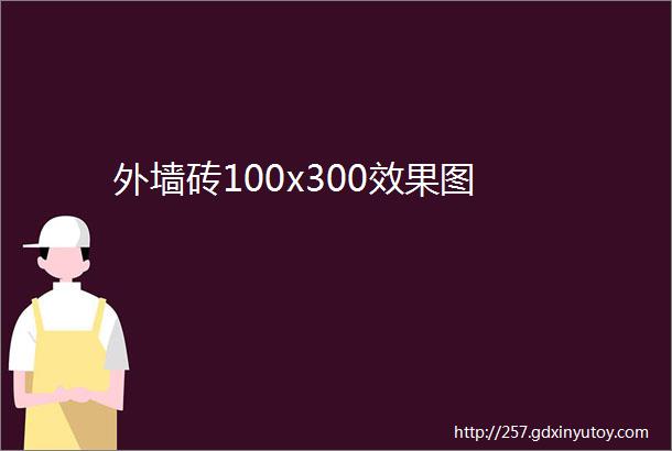 外墙砖100x300效果图