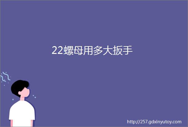 22螺母用多大扳手