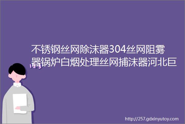 不锈钢丝网除沫器304丝网阻雾器锅炉白烟处理丝网捕沫器河北巨才石化设备