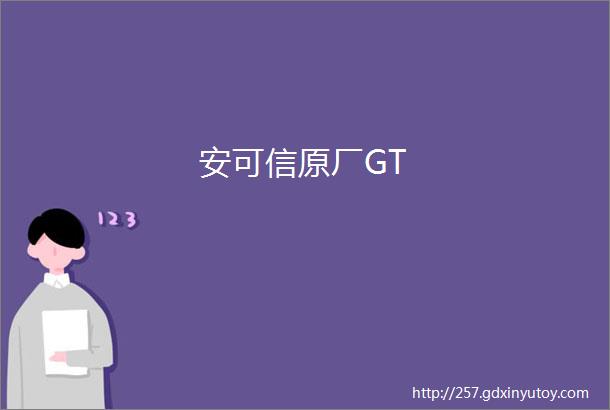 安可信原厂GT