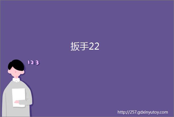 扳手22