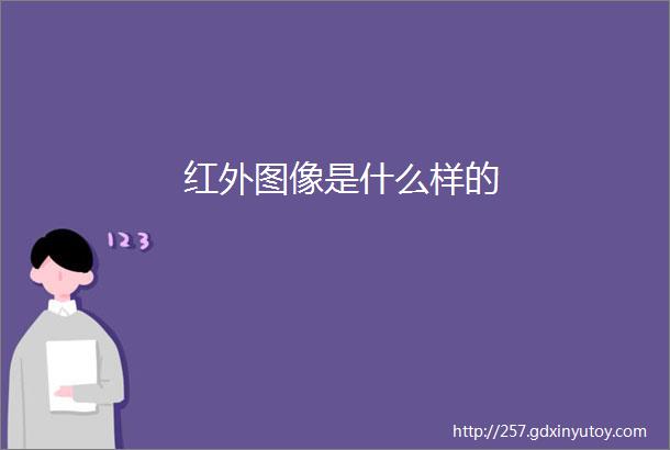 红外图像是什么样的